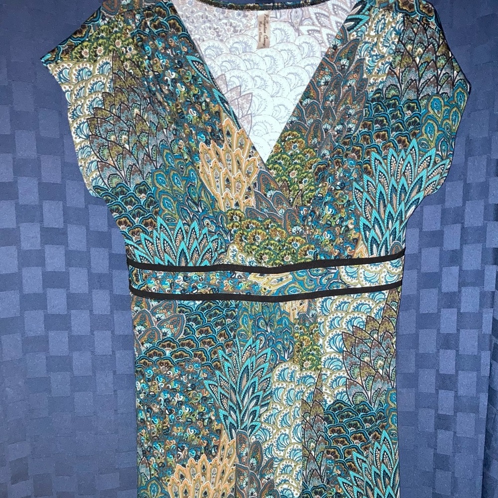 Women's Peacock Feather Print Dress